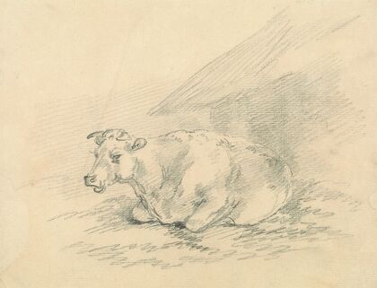 Cow Lying Next to a Barn