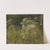 Cow Parsley. Study by P. C. Skovgaard