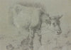 Cow to the left
