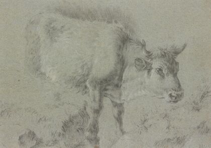 Cow to the left