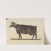 Cow Weather Vane by American 20th Century