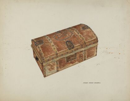 Cowhide Trunk