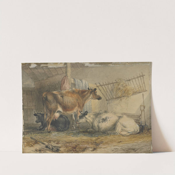 Cows by John Holding