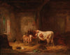 Cows and Rabbits in the Barn