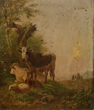 Cows and Sheep