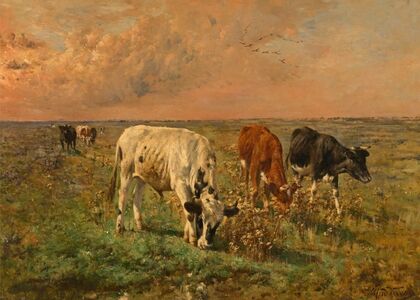 Cows in a Pasture