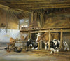 Cows in a Stable