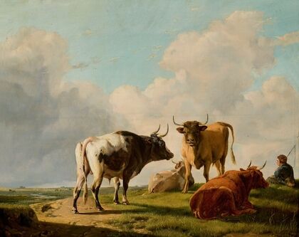 Cows in the pasture