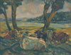 Cows Resting