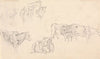 Cows with Bull in the Foreground