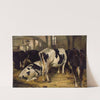Cowshed by Anders Askevold
