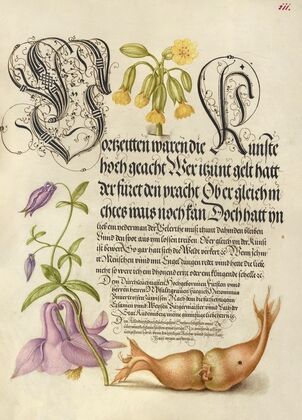 Cowslip, European Columbine, and Giant Filbert (1561–1596)