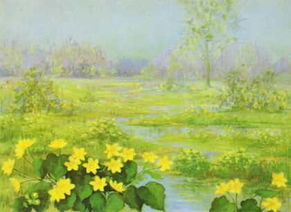Cowslip