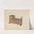 Cradle by American 20th Century