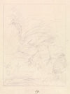 Crane and Frogs