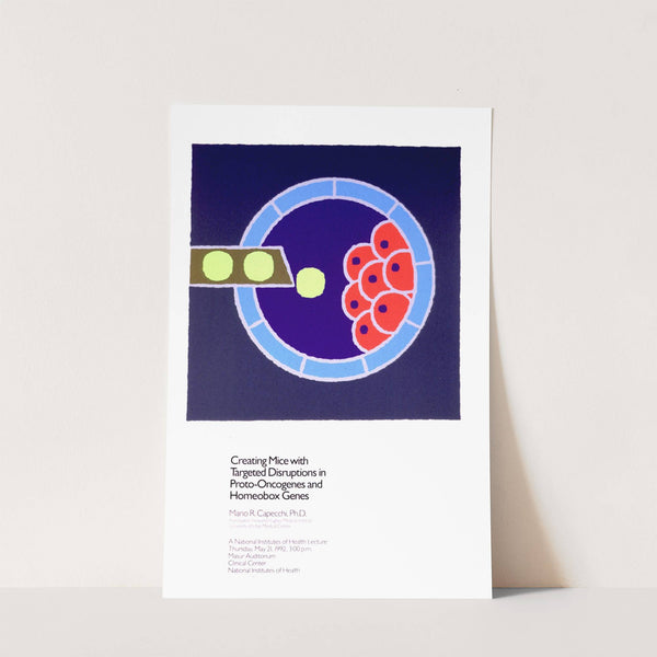 Creating mice with targeted disruptions in proto-oncogenes and homeobox genes by National Institutes of Health