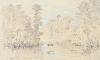Creek near Hokitika