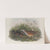 Crex pratensis. Land-Rail, or Corn Crake. (1862-1873) by John Gould