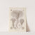 Crinoidea. - Palmensterne by Ernst Haeckel