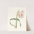 Crinum Ornatum by Priscilla Susan Bury