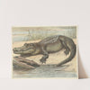 Crocodile (1892) by Oluf August Hermansen