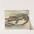 Crocodile (1892) by Oluf August Hermansen