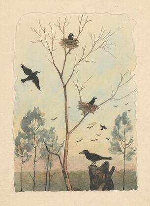 Crow
