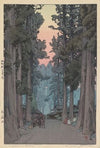 Crytomeria Avenue (Sugi Namiki)