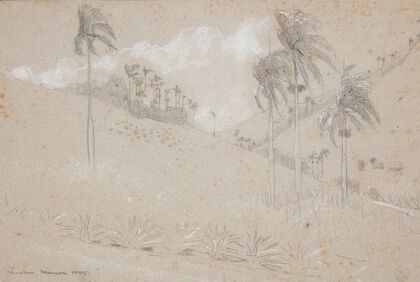 Cuban Hillside
