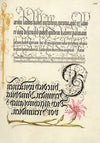 Cuckoo Flower (1561–1596)