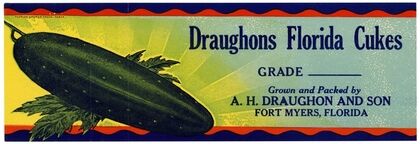 Cucumber Label for Draughons Florida Cuke (1930-1950)