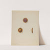 Cuff Buttons by John H. Tercuzzi