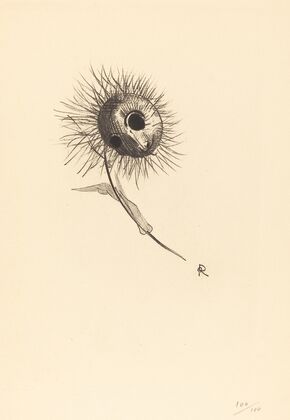 Cul-de-Lampe