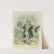 Cupid&#039;s candidate by Frederick Burr Opper