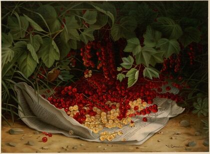 Currants