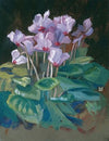 Cyclamen
