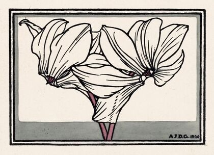 Cyclamen