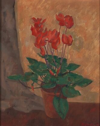 Cyclamen