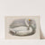 Cygnus ferus. Wild Swan, or Whooper. (1862-1873) by John Gould