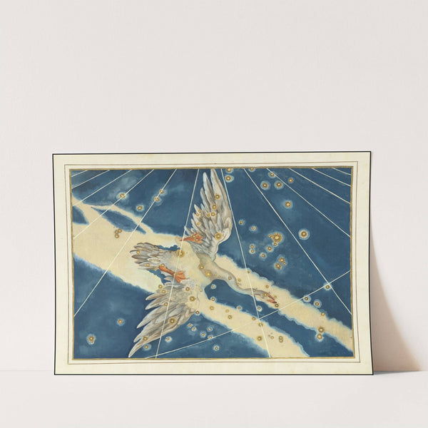 Cygnus (1624) by Johann Bayer