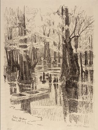Cypress Swamp