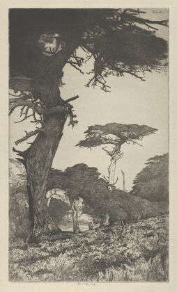 Cypress Vale (1915)