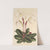 Cypripedium niveum by Charles Antoine Lemaire