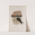 Cypselus apus. Swift. (1862-1873) by John Gould