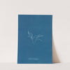 Cystoseira barbata by Anna Atkins