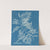 Cystoseira ericoides. by Anna Atkins