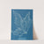 Cystoseira granulata by Anna Atkins