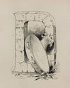 D (1882-1883)