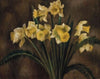 Daffodils