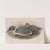 Dafila acuta. Pin-tailed Duck. (1862-1873) by John Gould
